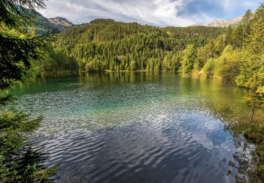 Avusturyalı alpine göl Güzellik