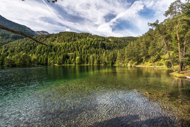 Avusturyalı alpine göl Güzellik