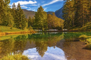 Sonbahar Avusturyalı kırsal kesimde