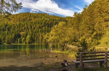 sonbahar göl manzara