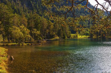 Güneşli bir günde Sameranger görmek