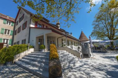 Rhein şelale, Almanya - Nisan 2017: güneşli bir günde Laufen kalesinin çevresinde