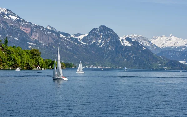 Yacht Danau Lucerne Pada Hari Yang Cerah — Stok Foto