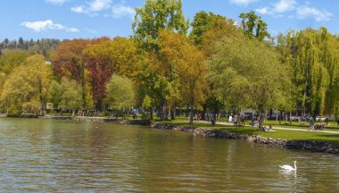 Park Dört kanton Gölü kıyısında. İsviçre