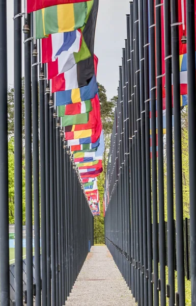 Zürich Schweiz Maj 2017 Passagen Flaggor Länder Som Medlemmarna Officiella — Stockfoto