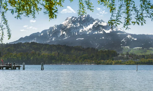 Vista Sobre Lago Lucerna Día Soleado —  Fotos de Stock