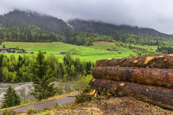 Trä Stockar Den Schweiziska Landsbygden — Stockfoto