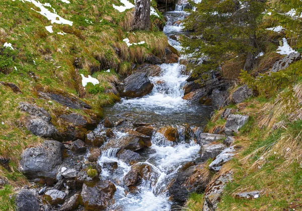 Alpine Creek Med Kristallklart Vatten — Stockfoto