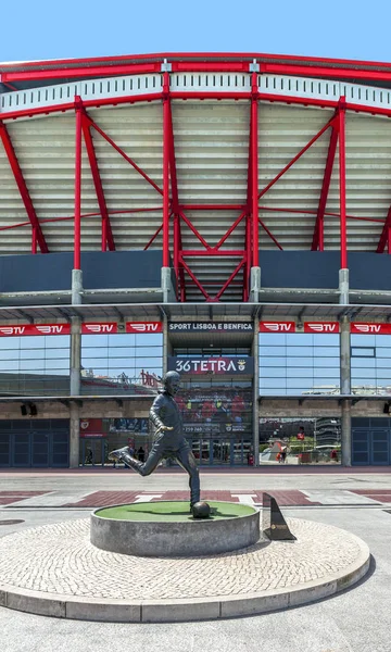 Visite Estadio Luz Terrain Jeu Officiel Benfica — Photo