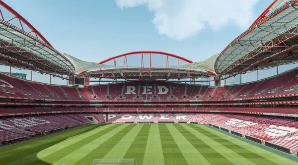 Visite Estadio Luz Terrain Jeu Officiel Benfica — Photo