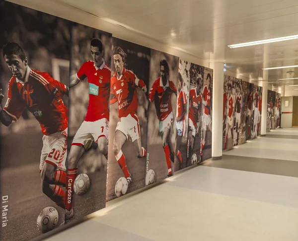 Estadio Luz Ziyaret Etmek Benfica Nın Resmi Oyun Alanı — Stok fotoğraf