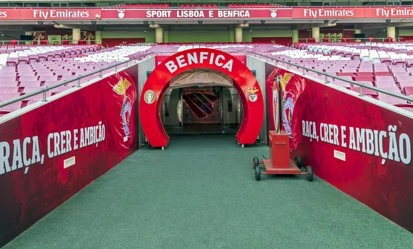 Besuch Estadio Luz Dem Offiziellen Spielfeld Des Benfica — Stockfoto