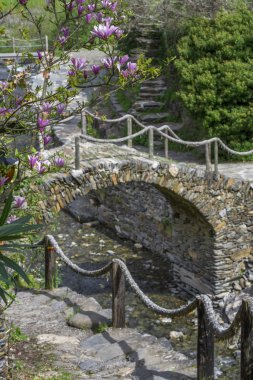 Portekiz 'in huzurlu kırsalında eski bir taş köprü