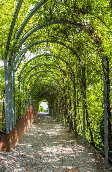 Зеленый Проход Парке Аббатства Мельк Фелин Австрия — стоковое фото