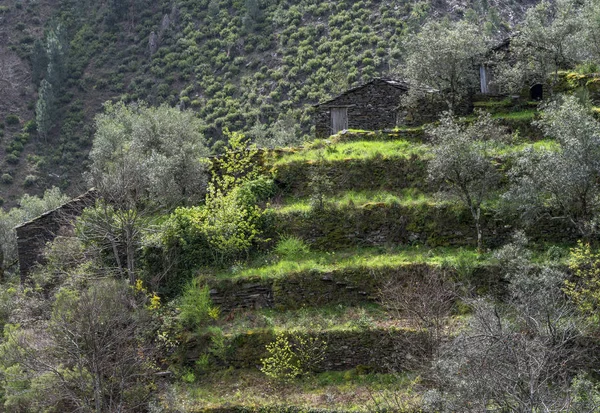 Abandonada Periferia Aldeia Piodao Portugal — Fotografia de Stock