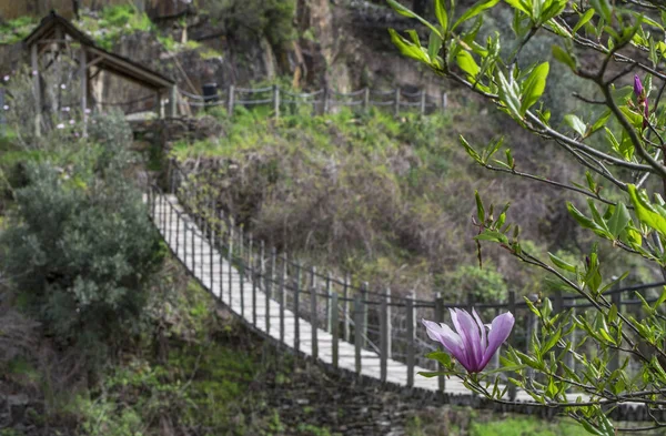 葡萄牙宁静乡村的老式木制悬索桥 — 图库照片