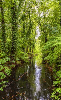 Peri masalı parkı manzarası. Gmunden, Avusturya