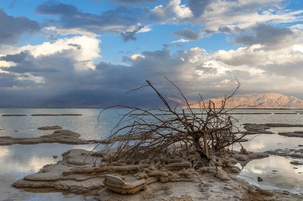 Naturskön Utsikt Över Döda Havet Israel — Stockfoto