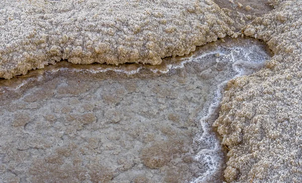 Sal Agua Del Mar Muerto Israel — Foto de Stock