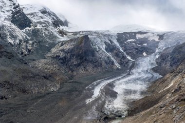 Grossglockner Alp Geçidi 'ndeki buzulu hamsterize et, Avusturya