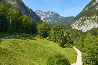 Avusturya Alpleri 'nin güneşli manzarası