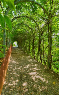 Melk Manastırı 'nın parkında yeşil geçit
