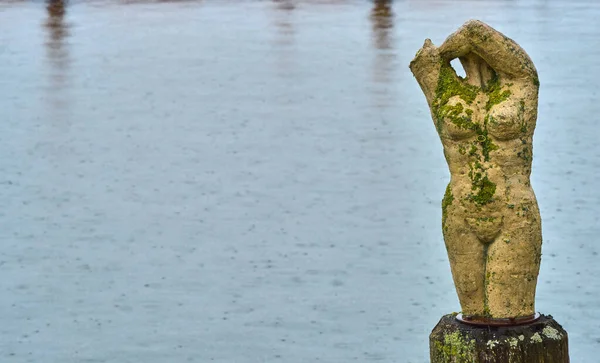 Πέτρινο Άγαλμα Στη Λίμνη Γκούντεν Salzkammergut Αυστρία — Φωτογραφία Αρχείου