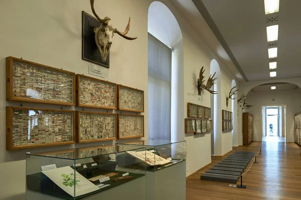 Mengunjungi Museum Sejarah Alam Biara Admont Austria — Stok Foto