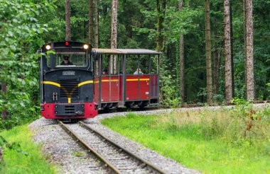 Avusturya, Salzburg yakınlarındaki açık hava tarihi kırsal yaşam müzesinde klasik tren.