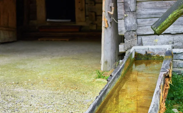 Besuch Historischen Freilichtmuseum Des Landlebens Bei Salzburg Österreich — Stockfoto