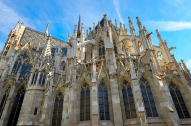 View on Votivkirche, Vienna