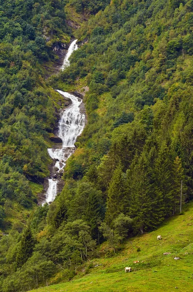 Grossglockner Alp Yolu Avusturya — Stok fotoğraf