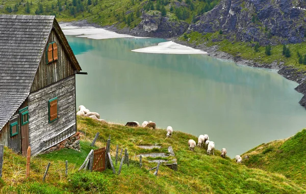 Grossglockner Alp Yolu Avusturya Daki Huzurlu Manzara — Stok fotoğraf