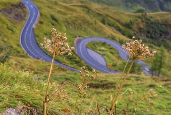 Naturskön Utsikt Över Grossglockner Alpine Road Österrike — Stockfoto