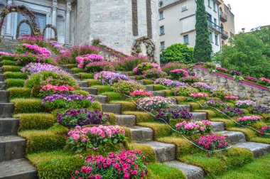 Girona 'da çiçek festivali 