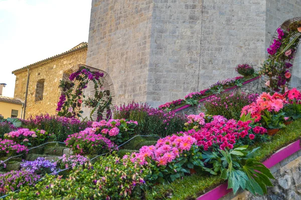Φεστιβάλ Λουλουδιών Στη Girona Temps Flors Ισπανία 2019 — Φωτογραφία Αρχείου