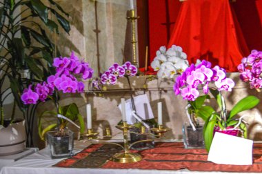 Girona 'da çiçek festivali 