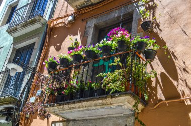 Girona 'da çiçek festivali 