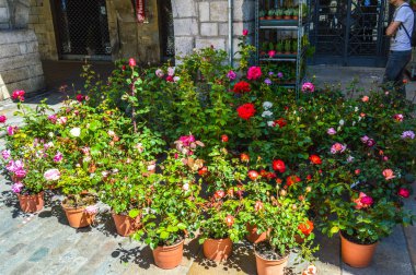 Girona 'da çiçek festivali 