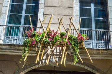 Girona 'da çiçek festivali 