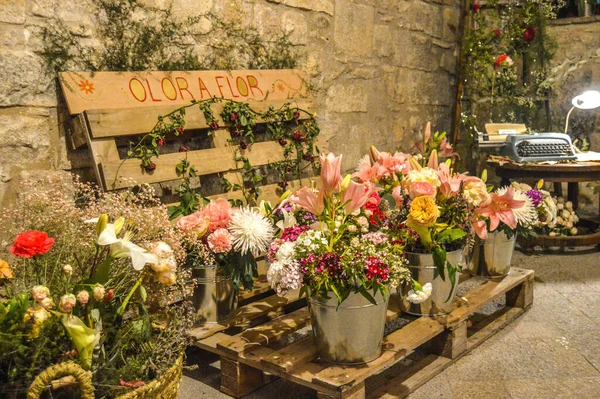 Festival Las Flores Girona Temps Flors España 2019 — Foto de Stock