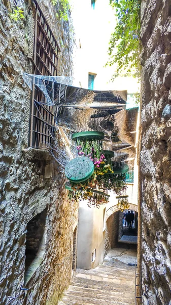 Flower Festival Girona Temps Flors Espanha 2019 — Fotografia de Stock