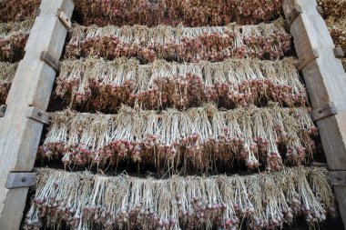 Tarım sebze Tayland