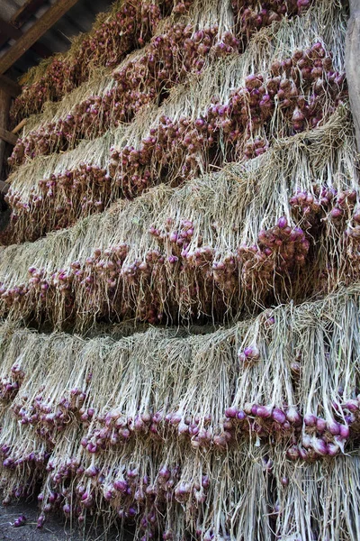 Produtos hortícolas agrícolas na Tailândia — Fotografia de Stock