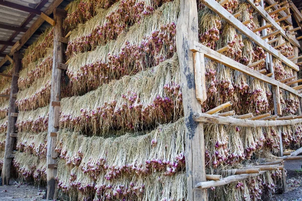 Produtos hortícolas agrícolas na Tailândia — Fotografia de Stock