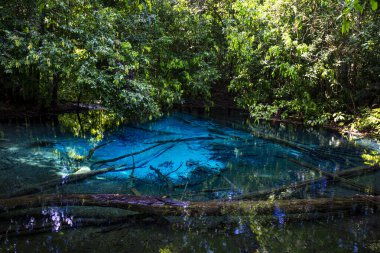 Tayland 'ın güneyindeki Krabi ilinde Mavi Havuz (Emerald Pool-Krabi) 