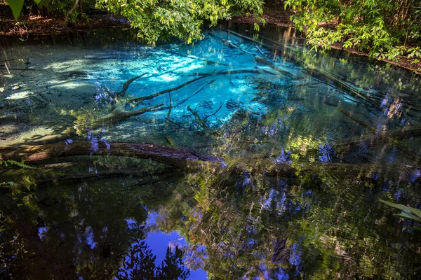 Sininen Allas Krabin Maakunnassa Thaimaasta Etelään Emerald Pool Krabi — kuvapankkivalokuva