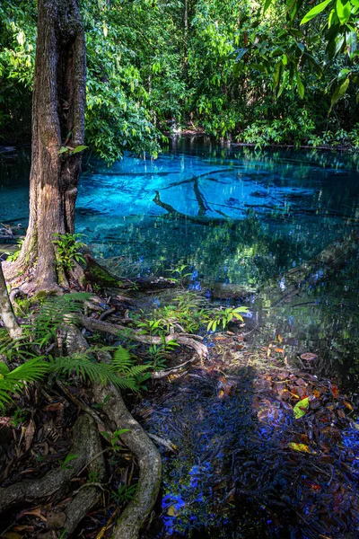 泰国南部Krabi省的Blue Pool Emerald Pool Krabi — 图库照片