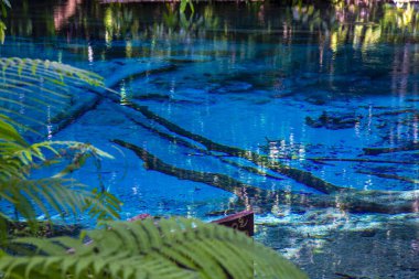 Tayland 'ın güneyindeki Krabi ilinde Mavi Havuz (Emerald Pool-Krabi) 