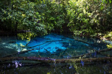 Tayland 'ın güneyindeki Krabi ilinde Mavi Havuz (Emerald Pool-Krabi) 